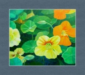 needle jury hepatitis B image healthtips images